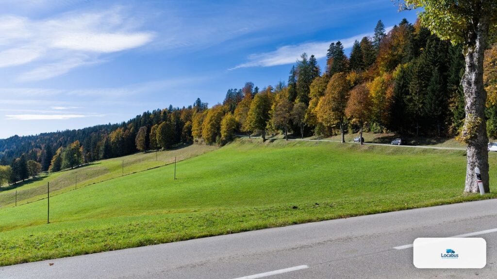 Route bordée d'arbres dans le Jura bernois, direction Bienne