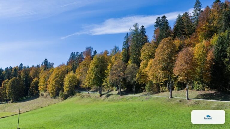 Paysage du Jura bernois avec route et pâturages